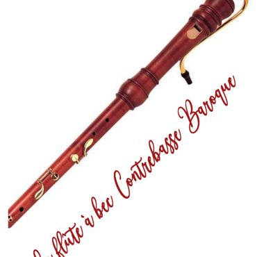 Insolite : Flute à bec